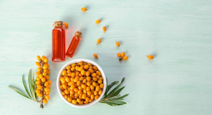 sea buckthorn oil